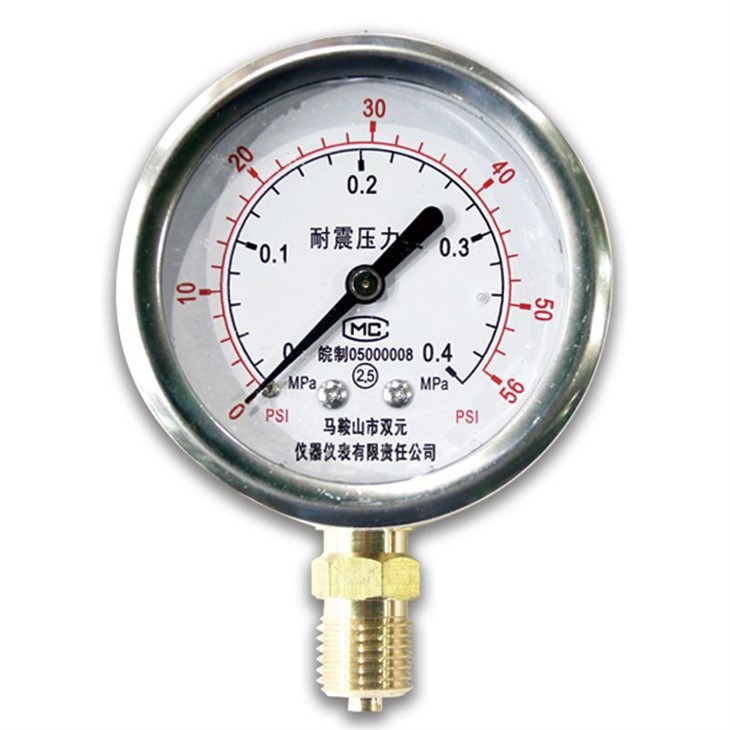 Pressure Gage