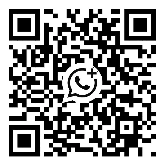 202605261528349842 202605261528349842